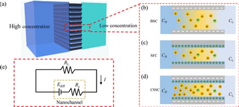 Image result for Electroconcentration Gradient