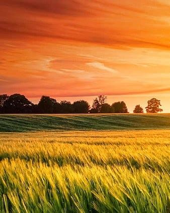 James L. Clonts Obituary (2024) - Cleveland, TN - Poole-Serenity ...