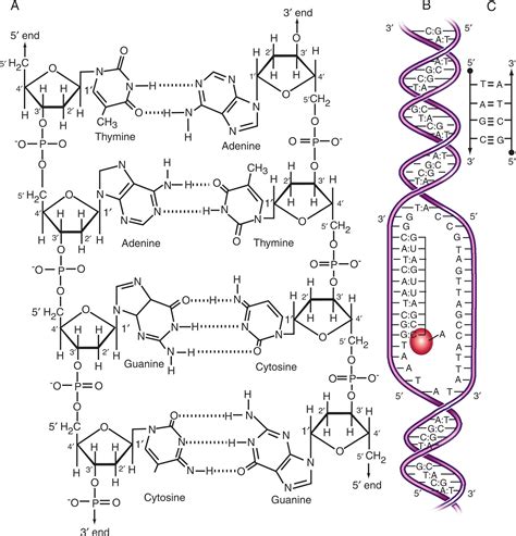 Image result for DNA Microarray Kit