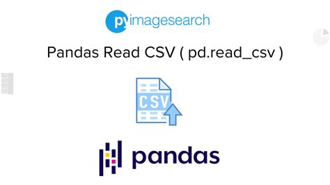 Pandas Read CSV File 的图像结果