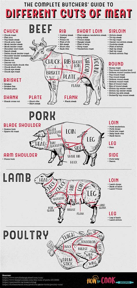 The Complete Butchers' Guide to Different Cuts of Meat | Meat cuts ...