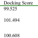 Image result for Docking Score
