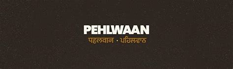 Pehlwaan Whey Protein by Prince Narula | 24g Protein Per Scoop | Indian ...