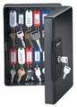 Sentry Safe Key Box, Wall Mount, Steel, Gloss, Black KB-25 | Zoro
