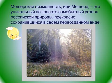 Презентация по окружающему миру на тему: "Заповедная Мещера ...