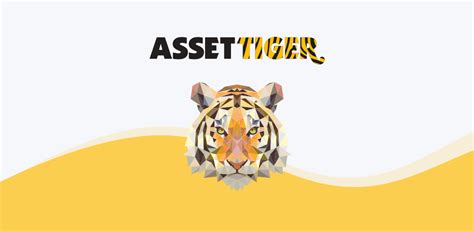 Image result for Asset Tiger Tutorial