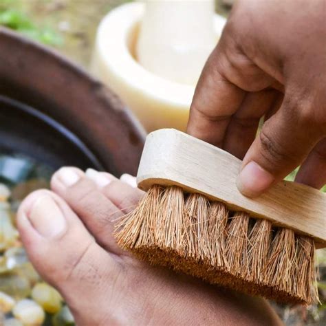 Almitra Sustainables Coconut Coir Pedicure Brush -(Self Care) - Buy on ...