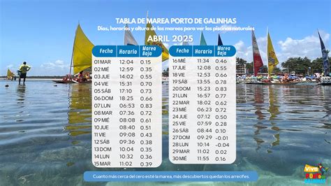Tablas de Marea Porto de Galinhas 2025 - Vivo Porto de Galinhas | ES