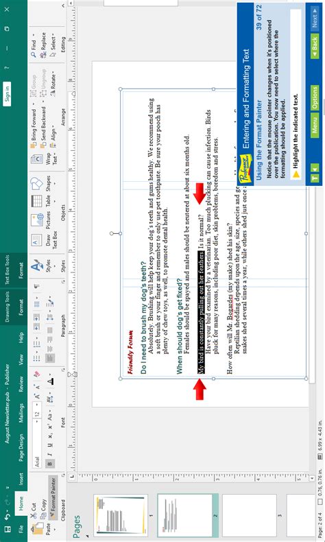 Publisher 2019 Tutorial 的图像结果