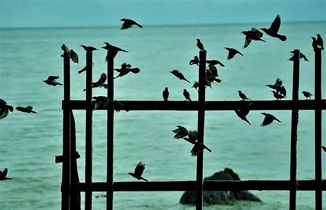 TIA'S BEACH RESORT (Camiguin/Mambajao) - Inn Reviews & Photos - Tripadvisor