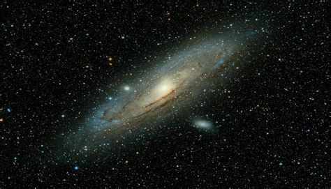 Image result for Alien Romulus Imsx