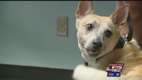 ACS working to speed up rescue process