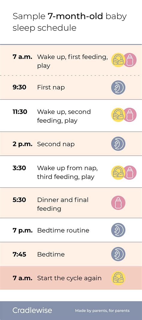 7 month old baby sleep schedule: A guide