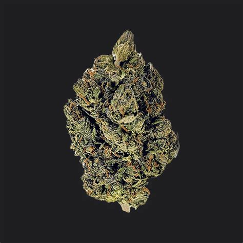 Buy Gelato 41 Smalls- Donald Trump Weed