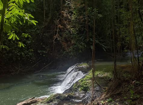 Travel Guide to Drake Bay, Costa Rica + Map – Bucketlist 2 Life