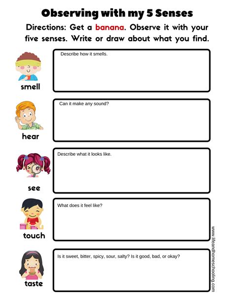 The Five Senses Worksheets