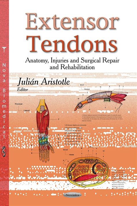 Buy Extensor Tendons: Anatomy, Injuries & Surgical Repair ...