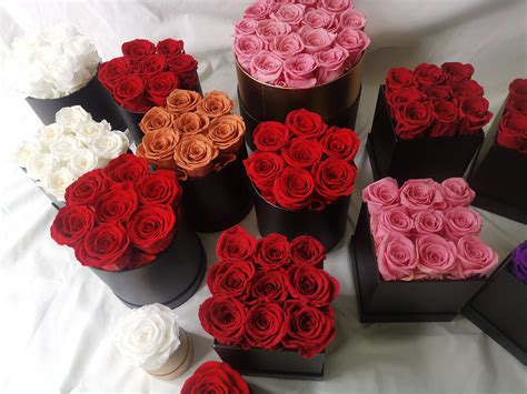 Eternal Roses - Preserved Flowers for All Occasions