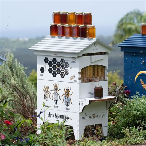 Image result for Flow Hive Problems