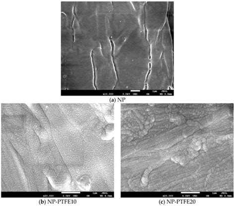 Preparation Nano-Structure Polytetrafluoroethylene (PTFE) Functional ...