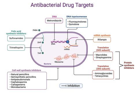 Image result for Antimicrobial Examples