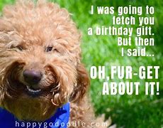 Image result for Bunny Birthday MEME Funny