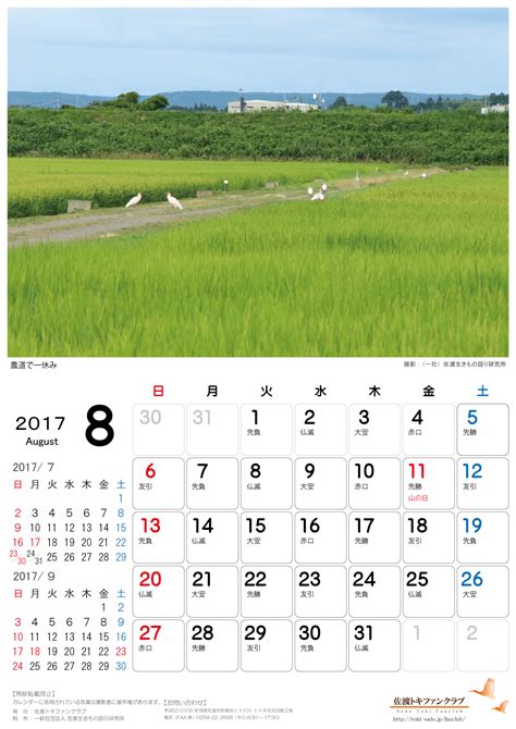 2017年壁紙カレンダープレゼント【無料】～花の写真を使った壁紙カレンダーを無料でダウンロード｜フラワーショップ花夢