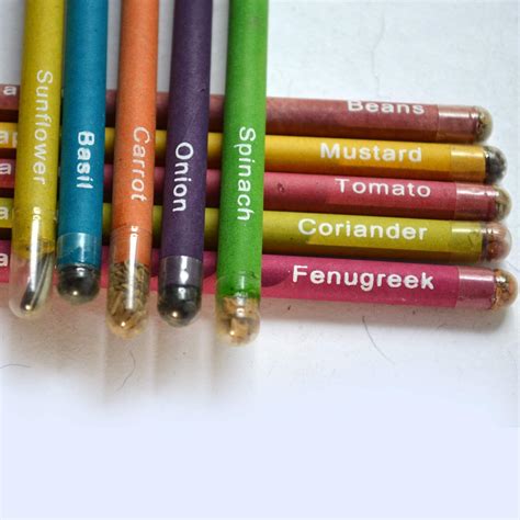 THE GREEN CHAPTER - Seed Pencils Eco Friendly Plantable Writing Pencil ...