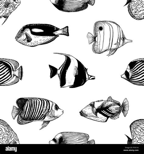 Tropical Fish Drawings