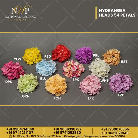Hydrangea Heads 54 Petals – National Wedding Props