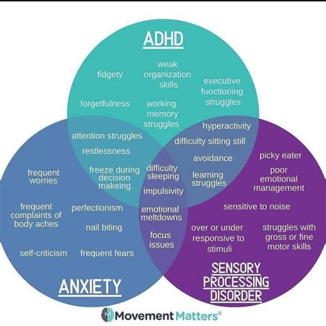 Adhd vs ocd vs autism venn diagram overlapping traits – Artofit