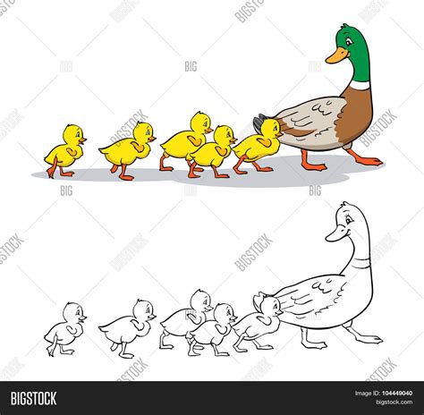 Ducklings And Mama Ducks Vector