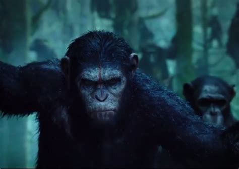 Chimpanzee Movie Trailer