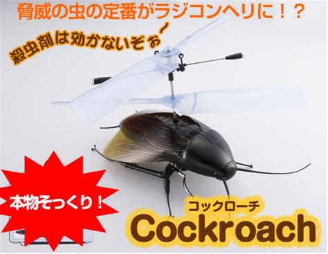 Remote Controlled Cockroach 的图像结果
