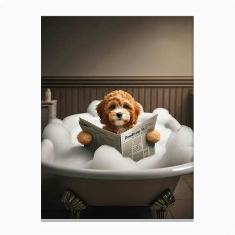 Image result for Cockapoo Puppy Bath