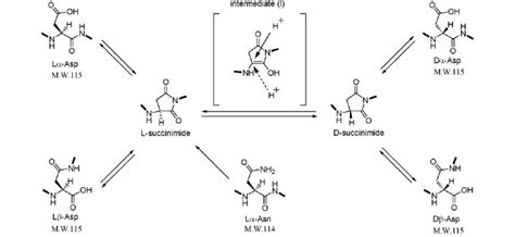 Image result for Random Science Computer Image