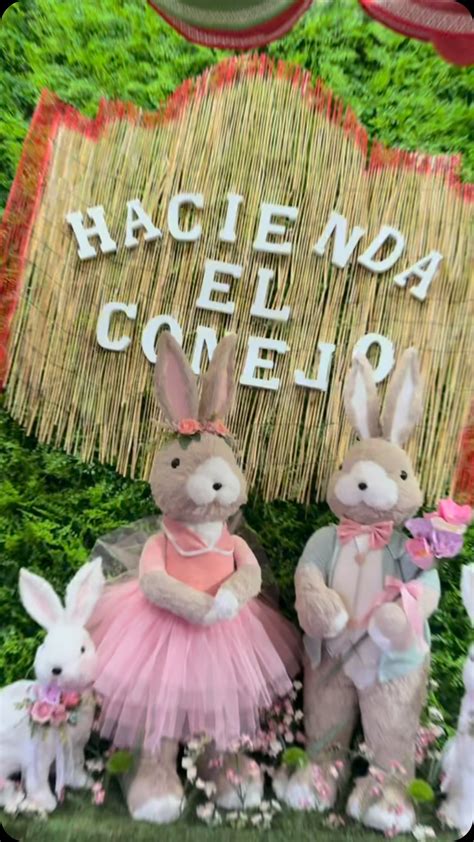 Hacienda El Conejo | We are excited to announce the soft opening of our ...