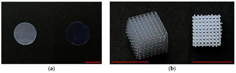 Methacrylic Photopolymerizable Resin Incorporating Selenium ...