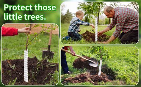 Image result for Squirrel Protector