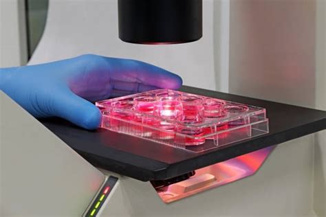 Cell 2D 的图像结果