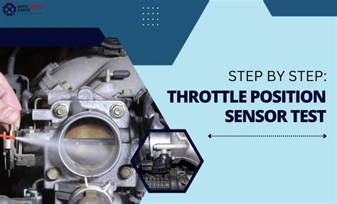 How to Set a Throttle Position Sensor 的图像结果