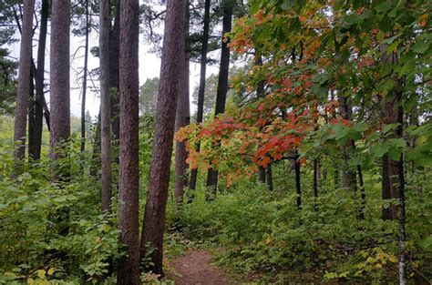 SNA Nature Notes - Fall 2017