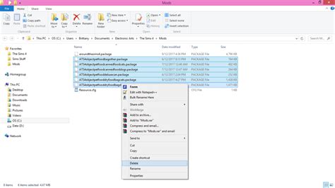 Image result for Sims 4 Install Script Mods