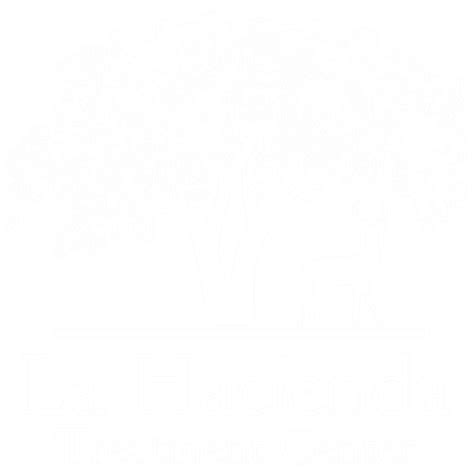 Meth Eyes | La Hacienda