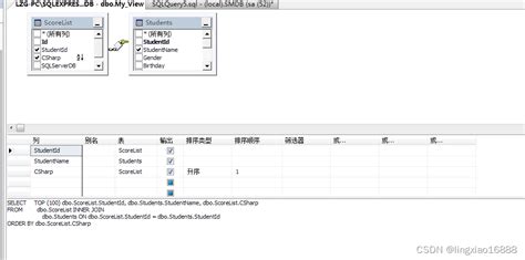Image SQL Database 的图像结果