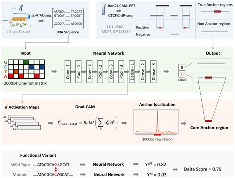 InsuLock: A Weakly Supervised Learning Approach for Accurate Insulator ...