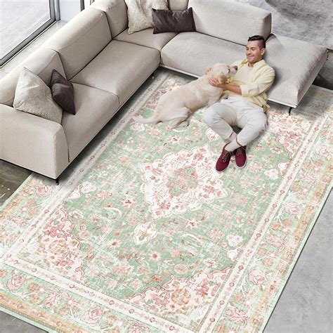 Amazon.com: Vhong Washable Area Rugs Boho Vintage Modern Neutral Large ...