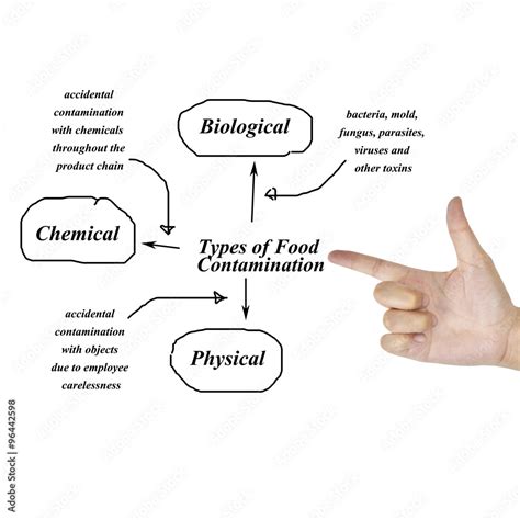 Image result for Food Contamination Examples