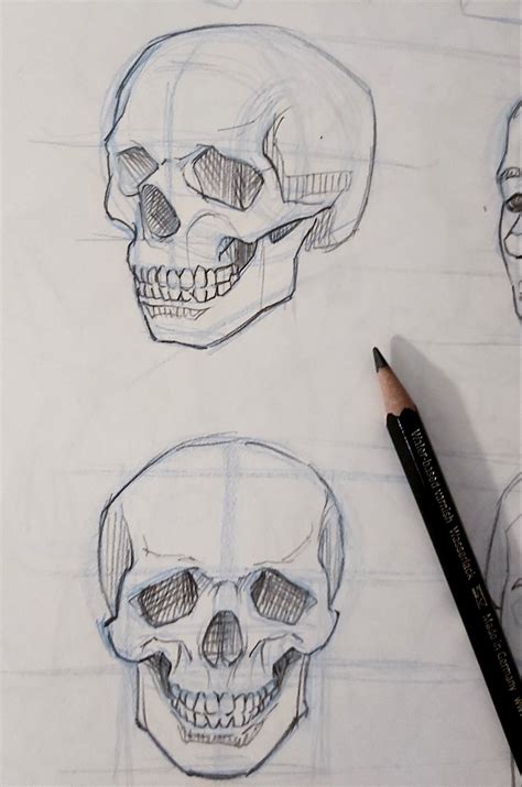 Image result for Skull Drawing Tutorial