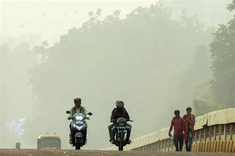 Study Says Peepal Trees Around Pune Airport Are More Tolerant To Air ...